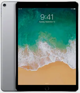 Замена экрана на iPad Pro 9.7' (2016) в Воронеже